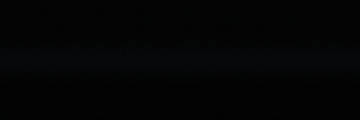 Volkswagen
            L041 / A1A1BLACK